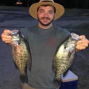 Meet your Posher, Lane